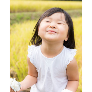 新米 先行予約 [コシヒカリ 定期便5kg×6か月] 令和7年産 新潟県産コシヒカリ 計30kg [株式会社白熊]