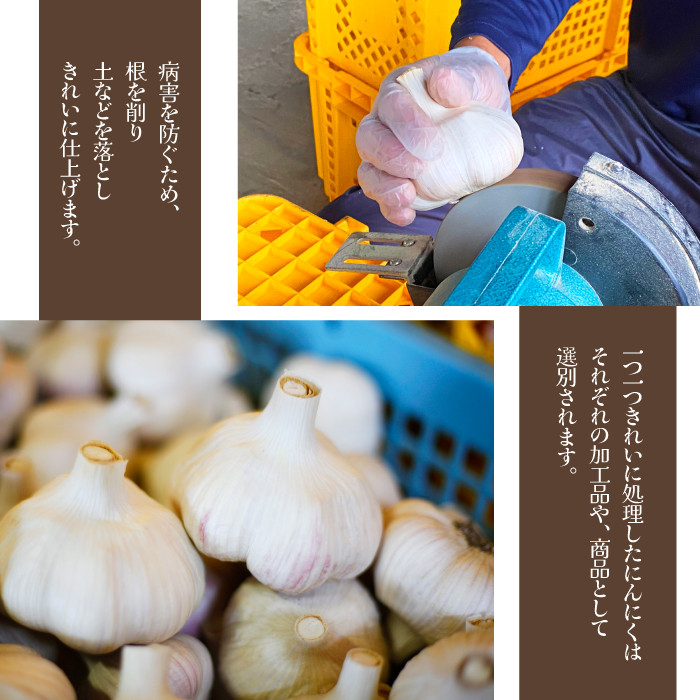 オーガニックにんにく 八幡平バイオレット 1kg ／ ニンニク 大蒜 野菜 産地直送 すばるファーム