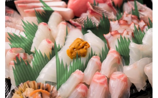 (190001)【定期便】 刺身 新鮮 盛り合わせ 仙崎発旬のお刺身盛合せ2-3人前 3D冷凍 長門市 毎月発送 全12回