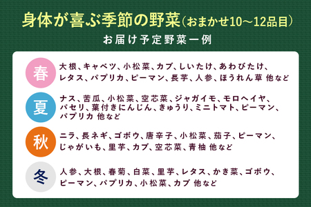 『身体が喜ぶ野菜』詰め合わせ ( おまかせ 10～12品) 野菜 詰合せ 詰め合わせセット お任せ 季節の野菜 セット 栽培期間中農薬不使用 有機栽培 微生物農法 EM農法 露地栽培 産地直送 新鮮 