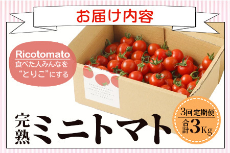 【先行予約】 完熟ミニトマト『Ricotomato』 【1kg×3回定期便】 【2024年12月から出荷】 E-68