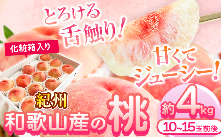 【2027年先行予約】桃 もも 紀州 和歌山産 の 桃 4kg 化粧箱入 魚鶴商店《2027年6月下旬-8月上旬頃出荷》 和歌山県 日高川町 贈り物 ギフトフルーツ果物くだもの