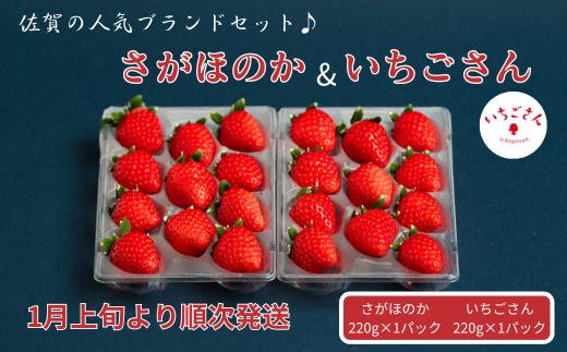 
佐賀県産いちご さがほのか&いちごさんセット：B100-039
