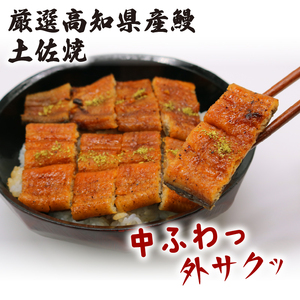 うなぎ蒲焼 約170g×2尾 高知県産 最高品質 合計約340g たれ 山椒 国産 鰻 かば焼 土佐焼 うな丼 うな重