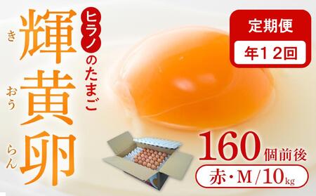 【定期便12回】ヒラノのたまご【輝黄卵(きおうらん)】赤Mサイズ　170個+10個（割れ保証）｜卵 たまご タマゴ 定期便