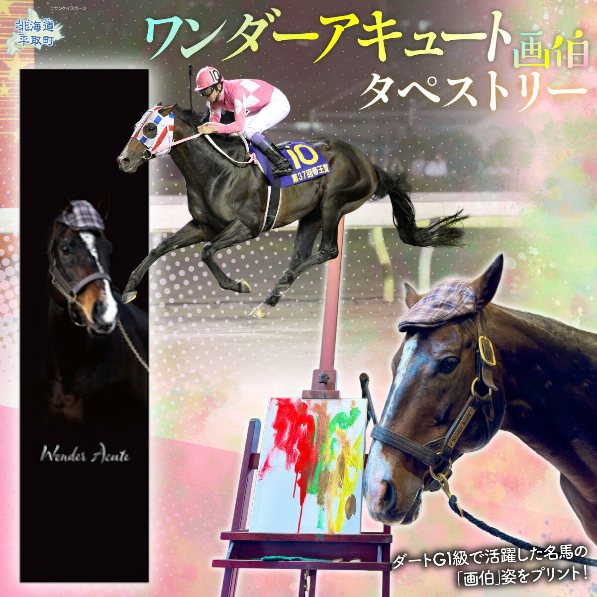 【ふるさと納税】【ワンダーアキュート】タペストリー 【ふるさと納税 人気 おすすめ ランキング 馬 競馬 競走馬 引退馬 ワンダーアキュート タペストリー 飾り インテリア 生活 日用品 日高 北海道 平取町 送料無料】 BRTV208