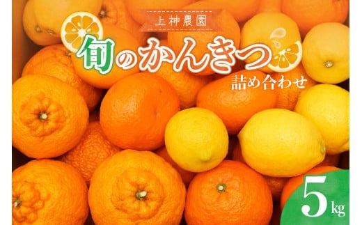 【2025年11月中旬～発送】上神農園 旬の柑橘詰め合わせ 約5kg ku011-033-25