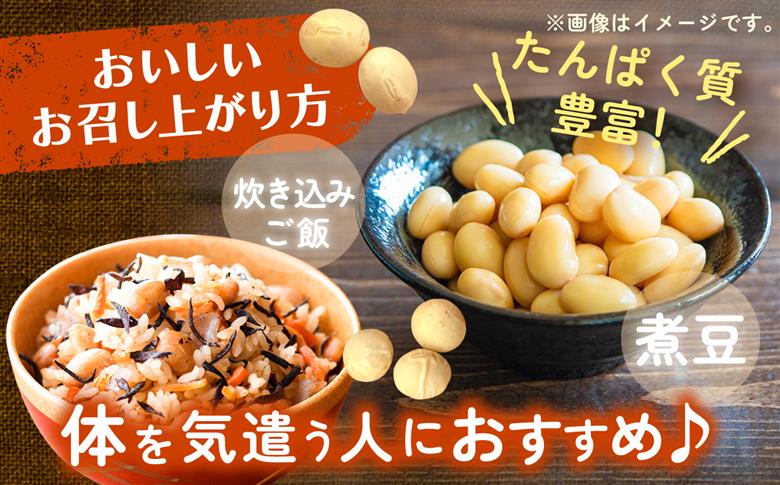 北海道 あしょろの大豆 1kg×2袋《足寄町》【党崎農場】豆[BEAA026]