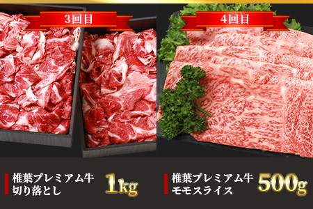 【定期便6回】総重量3.1kg！椎葉プレミアム牛満喫定期便≪ステーキ・すき焼き・しゃぶしゃぶ・焼き肉≫