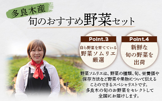 【数量限定】野菜ソムリエ 監修 旬の おすすめ 野菜 セット ４〜6品 (1〜2名様向け) 野菜 獲れたて 直送 旬 熊本県 多良木町 024-0801