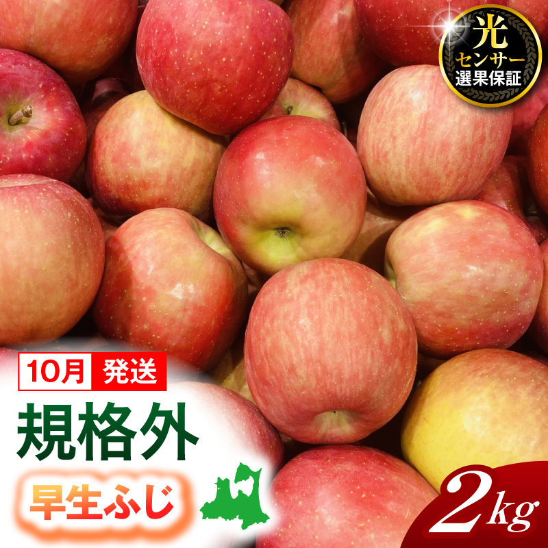【2026年10月発送】【規格外】 りんご 約2kg 早生ふじ 《 光センサー選果保証 》 青森県産 訳あり リンゴ 林檎 果物 青森 五所川原