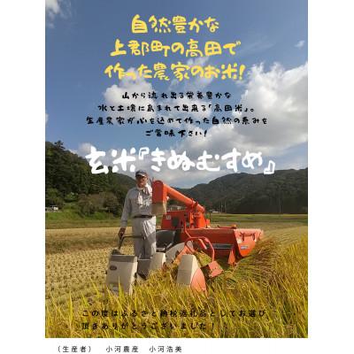 ふるさと納税 上郡町 高田米『きぬむすめ』玄米5kg |  | 01