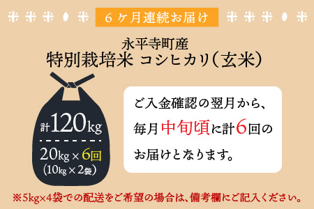 【6ヶ月連続お届け】【玄米】 令和5年度産 永平寺町産 農薬不使用・化学肥料不使用 特別栽培米 コシヒカリ 20kg×6ヶ月（計120kg） [M-033084]