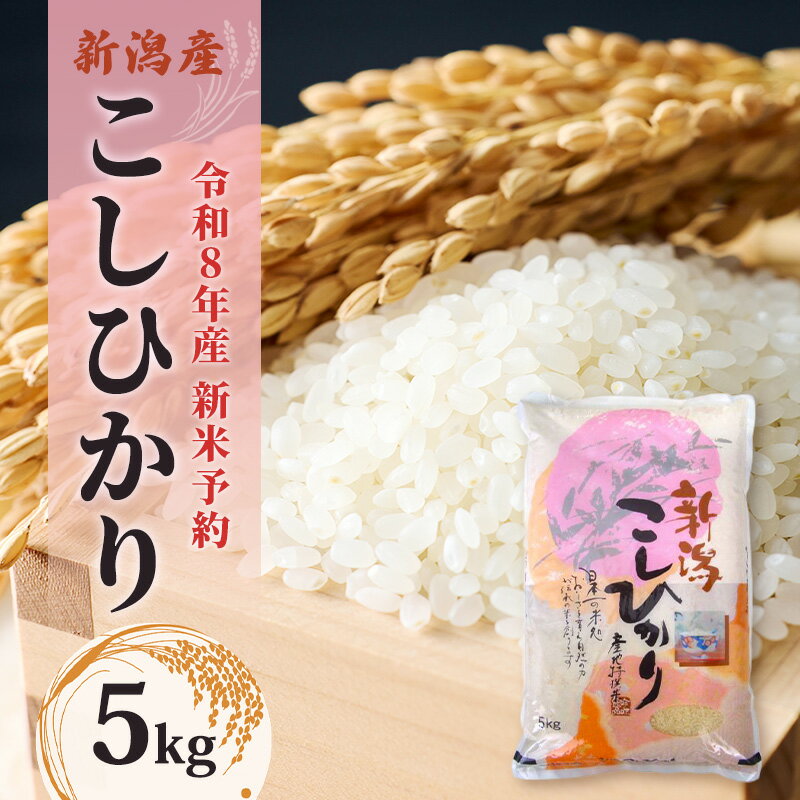 【ふるさと納税】【先行予約】令和8年産新米予約新潟産コシヒカリ5kg　米 精米 こしひかり お取り寄せ 新潟県 新潟市　お届け：2026年10月下旬～2027年3月下旬まで