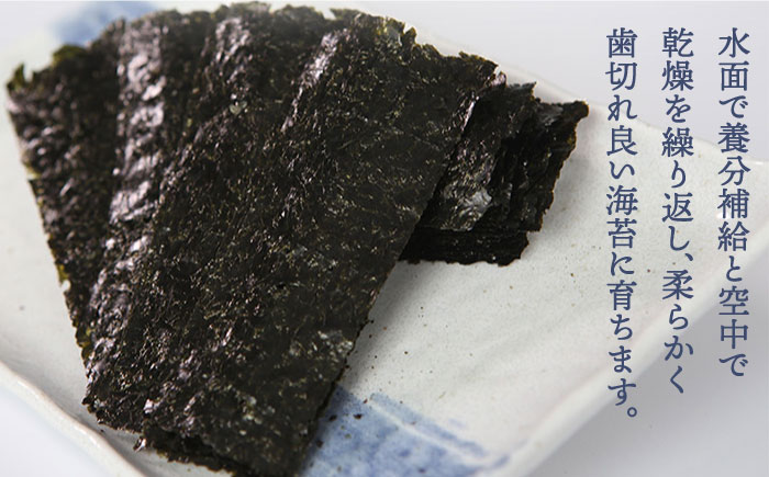 【味重視の一番摘みをお届け！】九州名物とめ手羽 福岡 有明のり 8点セット＜株式会社フェリックス＞那珂川市 [GCE017]