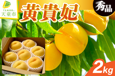 もも 黄貴妃 2kg フルーツ 果物 山形 黄桃 モモ