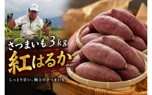 紅はるか 【紅はるか・さつまいも】 3kg | 紅はるか芋 紅はるかさつまいも 焼き芋紅はるか さつまいも野菜 やさい ミネラル 長期保存 産地直送 国産 九州 大分県 豊後高田市