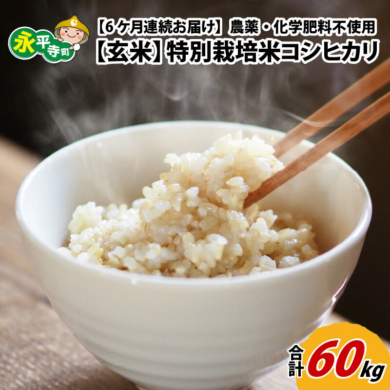 【ふるさと納税】【先行予約】【6ヶ月定期便】【玄米】 令和7年度産 永平寺町産 農薬不使用・化学肥料不使用 特別栽培米 コシヒカリ 10kg×6ヶ月（計60kg）【10月より順次発送 頒布会 無農薬 ご飯 ごはん こめ 定期便 10キロ 10kg 米 米 お米 コメ 送料無料 こしひかり 福井