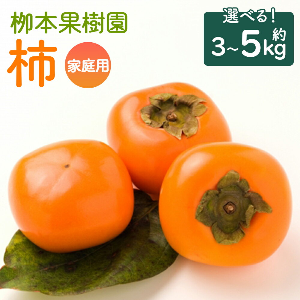 【ふるさと納税】【選べる内容量】【先行予約】訳あり 柿 家庭用 約3kg／約5kg - 果物 くだもの フルーツ カキ かき 甘い おいしい 送料無料 期間限定 季節限定 数量限定 柳本果樹園 高知県 香南市【常温】