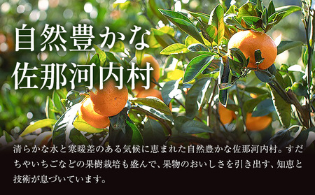 みかん 極 蔵出し熟成 2箱 みかん