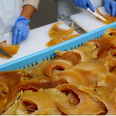 ふるさと納税 館山市 【発送月固定定期便】フカヒレ姿煮　大尾びれ2枚入(330g×2枚)尾びれ全4回 |  | 01
