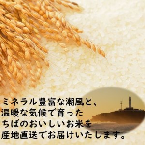 【無洗米】コシヒカリ 10kg(5kg×2) 千葉県産米
