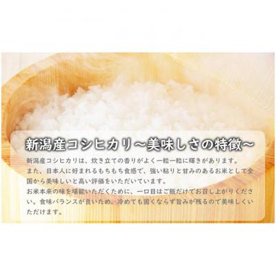 ふるさと納税 新潟市 有機栽培米 新潟産コシヒカリ5kg [54071457] |  | 01