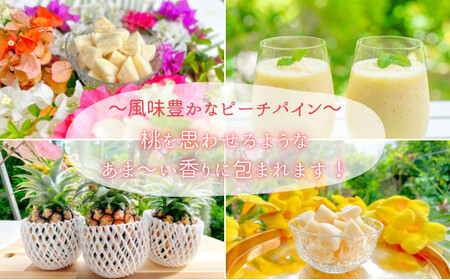 ☆新感覚の味わい☆ 桃のような芳醇な香りのする『西表島産 完熟ピーチパイン』 約13kg