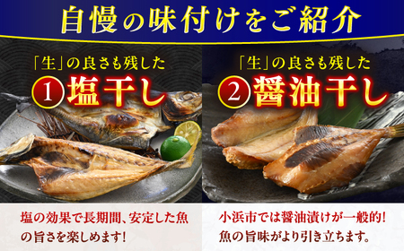 『定期便』全6回(隔月発送)【加福鮮魚】 季節の旬の魚をお届け！"生"干物厳選詰め合わせ 一夜干し 醤油干し 味噌漬け 塩干し 小浜市 / 加福鮮魚 【配送不可地域：北海道・沖縄・離島】 [BFBC0