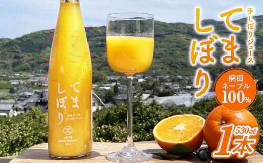 136-11　てましぼり（網田ネーブル100％ジュース）530ml