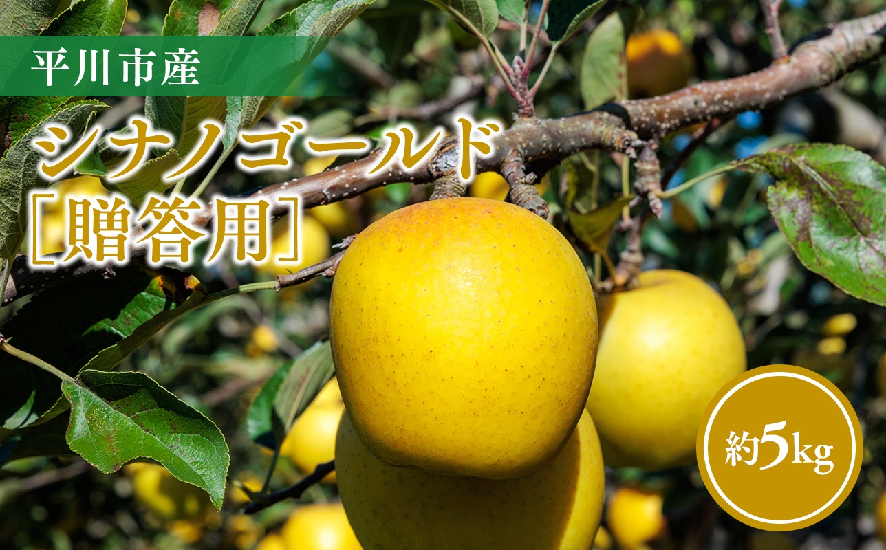 【11月～順次発送】贈答用シナノゴールド5kg【今井農園】≪hi-0064-015≫
