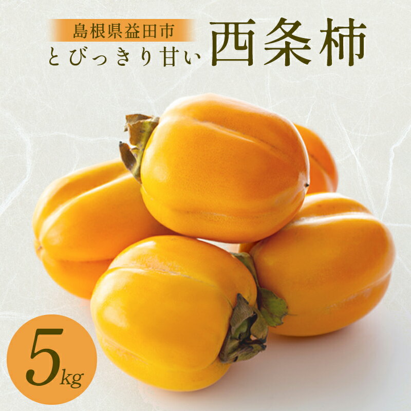 【ふるさと納税】 先行予約 西条柿 5kg 25個前後 果物 フルーツ かき 甘い 季節限定 期間限定 早期予約 特産品 お取り寄せ グルメ 高糖度 渋抜き処理済