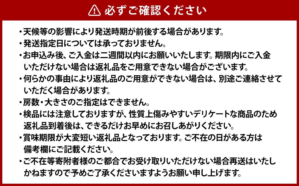 桃太郎ぶどう 2～3房（合計約1.3kg）