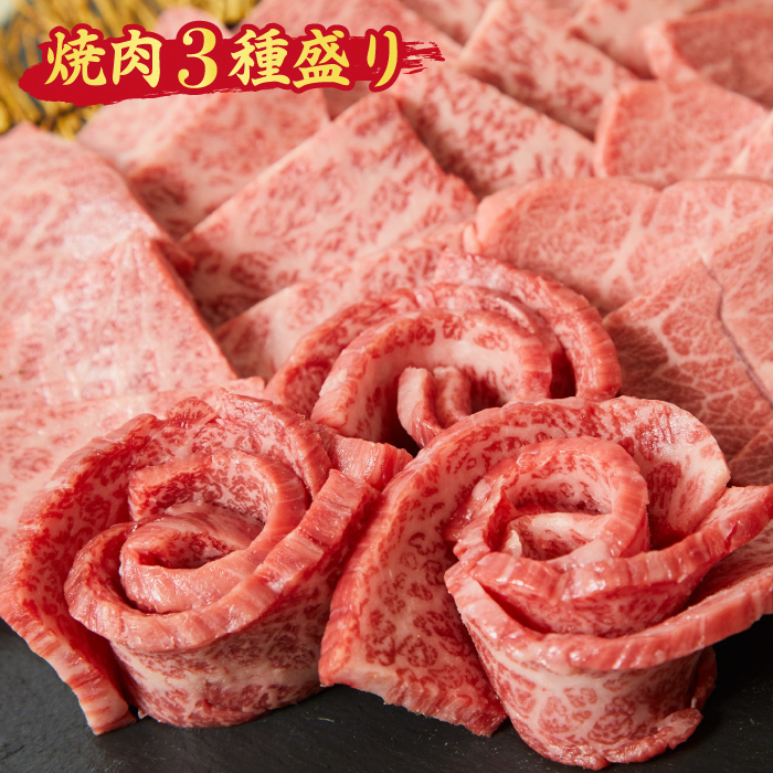 【スピード発送】佐賀牛 希少部位 焼肉3点盛り合わせ【脂身系ジューシー】 600g （200gx3種） A5 A4【希少 国産和牛 牛肉 肉 牛 焼肉】(H085142)