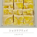 【ふるさと納税】 ショコラフリュイ　レモンチーズ チョコレート チョコ スイーツ デザート 高級 ギフト 贈り物 お礼 プレゼント 手土産 お菓子