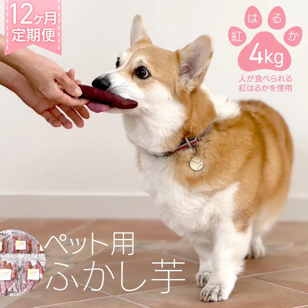 【12ヶ月定期便】動物 ペットおやつ ペット用 ふかし芋 小芋 紅はるか 芋 いも おやつ 動物 ペットフード 犬 猫 間食 ヘルシー オヤツ 4kg [AU126ya]