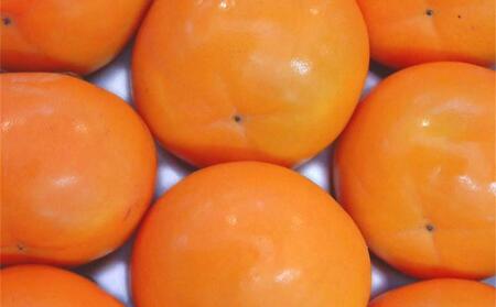 かき酢500ml×1本 （内子町産富有柿使用 醸造酢）／　果実酢 柿 カキ 酢 果物 お酢 フルーツ くだもの酢 【株式会社内子フレッシュパークからり】 [BKAD004]