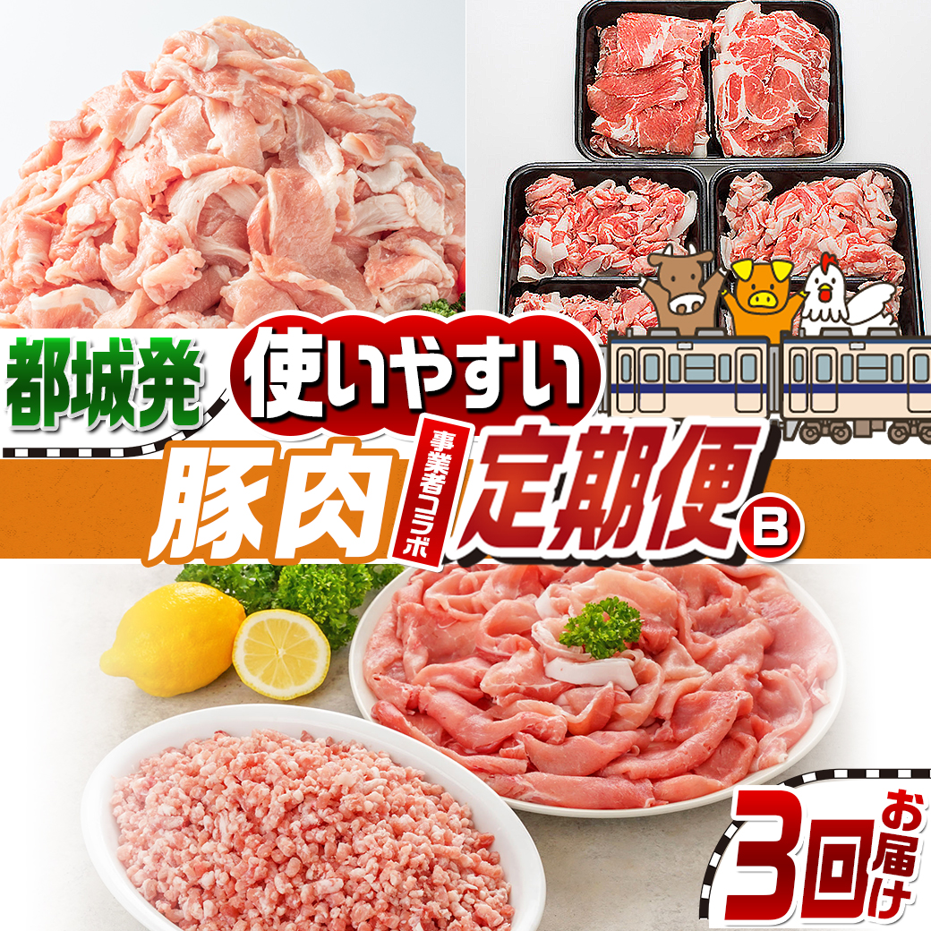 【事業者コラボ定期便】使いやすい豚肉3回定期便B