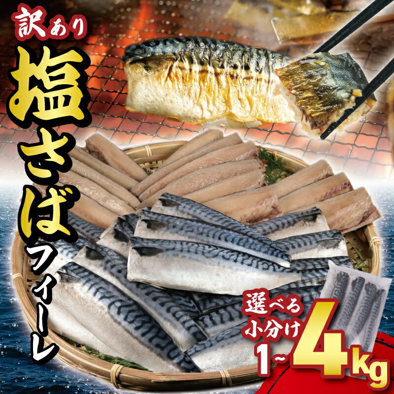 【ふるさと納税】 訳あり サバ 塩サバフィーレ 約1kg 2kg 3kg 4kg ノルウェー産 冷凍 小分け サバ 鯖 フィーレ 海鮮 魚 大容量 青魚 おかず 惣菜 焼魚 魚貝 おつまみ 弁当 人気 グルメ お取り寄せ 送料無料 ふるさと納税 ふるさと納税魚 千葉県 銚子市 大一奈村魚問屋