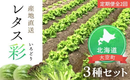 【ふるさと納税】 【定期便】レタス彩(いろどり)3種セット全2回（2025年9月より順次発送） 【 ふるさと納税 人気 おすすめ ランキング レタス れたす 野菜 葉野菜 定期配送 定期便 北海道 大空町 送料無料 】 OSU002