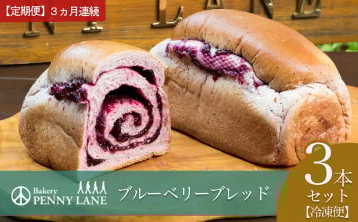 【3ヵ月定期便】ペニーレインのブルーベリーブレッド3本セット【 パン 冷凍 人気 菓子パン パン屋 茨城県 つくば市 ブルーベリー ブルーベリージャム ブルーベリーソース 冷凍パン お取り寄せ おやつ 朝食 ベーカリー グルメ プレゼント 定期便 冷凍便 】
