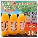 【ふるさと納税】信州シナノホッペのりんごジュース(1000ml×3本)【1495966】