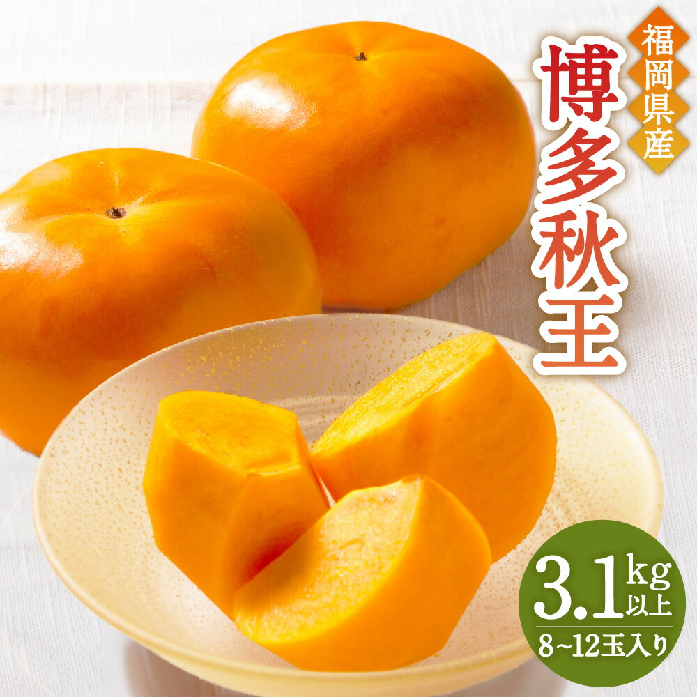 【ふるさと納税】【優等品】福岡県産 博多秋王 3.1kg以上 8玉～12玉入り 福岡県 岡垣町 柿 カキ フルーツ 果物 冷蔵 お取り寄せ 特産品 ご当地 先行予約 送料無料 【2025年10月上旬～11月下旬発送予定】