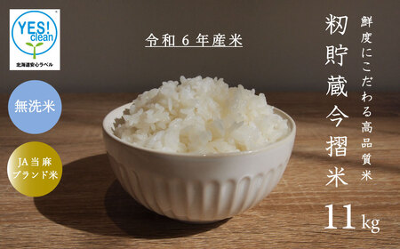 令和6年産 無洗米 11kg ブランド米 籾貯蔵今摺米 きたくりん 北海道米 当麻町 お米 10kg 以上 送料無料 定期便 アリ 米【A-006】