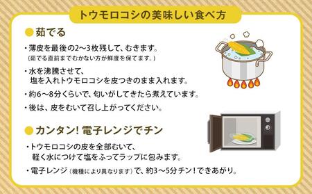 令和6年6月発送開始 かに太郎定期便Bセット（アスパラ、赤肉メロン、白くまコーン）