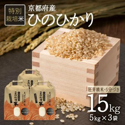 ふるさと納税 木津川市 《特別栽培米》京都府木津川市産ひのひかり(胚芽精米・5分づき)15kg