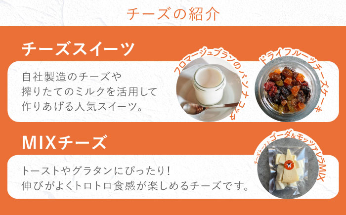 【2月発送】〈酪農家の手作り〉ナカシマファームのフルコースセット 全13種 計17個【ナカシマファーム】 [NAJ015] ナカシマファーム 酪農家 手づくりチーズ 食べくらべ 詰め合わせ