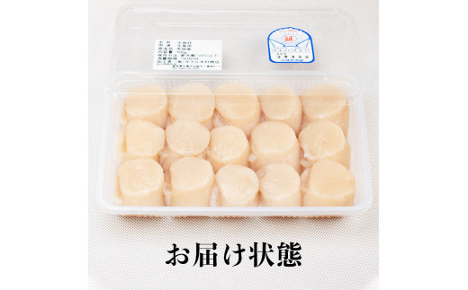 ホタテ貝柱 生食用 宮城県産 刺身用 500g（約15個～18個入り）冷蔵 生ホタテ 貝柱 石巻市