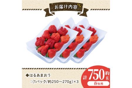 ＜先行予約受付中！2025年2月上旬から3月末にかけて順次発送予定＞はるあまおう(計約750g・約250g×3P)いちご 苺 フルーツ 果物 くだもの 福岡限定 家庭用 冷蔵 ＜離島配送不可＞【ksg