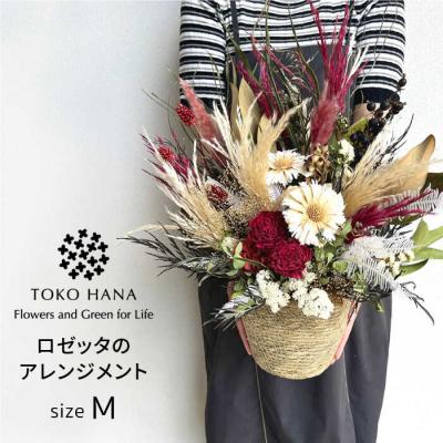 ふるさと納税 糸島市 ロゼッタのアレンジメント(Mサイズ)糸島市/tokohana ドライフラワー [AOC035]